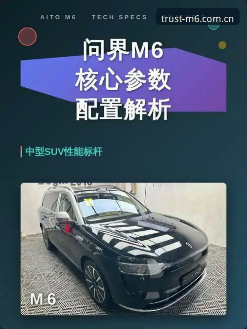 M6注册推荐的5个核心评估维度：从技术角度解析娱乐平台选择