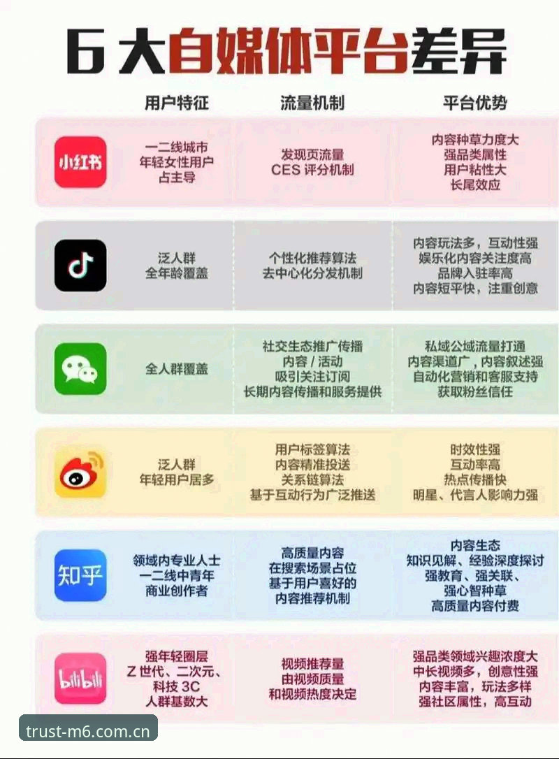M6账号注册 vs 其他平台注册：深度解析值得信赖的在线娱乐平台优势